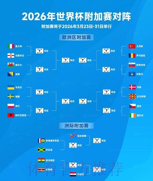 世界杯小组赛精彩回顾 加拿大队与波黑队战平
